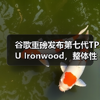 谷歌重磅发布第七代TPU Ironwood，整体性能接近英伟达B200（图1）