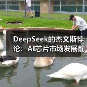 DeepSeek的杰文斯悖论:AI芯片市场发展前瞻(图2) DeepSeek的杰文斯悖论:AI芯片市场发展前瞻(图2)