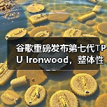 谷歌重磅发布第七代TPU Ironwood，整体性能接近英伟达B200（图4）
