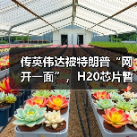 传英伟达被特朗普“网开一面”,H20芯片暂获出口“解禁”(图1) 传英伟达被特朗普“网开一面”,H20芯片暂获出口“解禁”(图1)