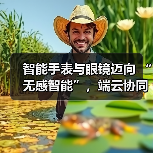 智能手表与眼镜迈向 “无感智能”，端云协同破解 “不可能三角” 难题（图1）