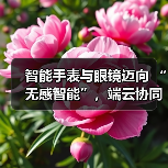智能手表与眼镜迈向 “无感智能”，端云协同破解 “不可能三角” 难题（图3）