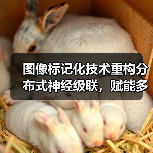 图像标记化技术重构分布式神经级联,赋能多模态AI设备(图4) 图像标记化技术重构分布式神经级联,赋能多模态AI设备(图4)