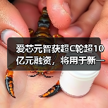 爱芯元智获超C轮超10亿元融资,将用于新一代AI芯片研发(图1) 爱芯元智获超C轮超10亿元融资,将用于新一代AI芯片研发(图1)