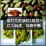 爱芯元智获超C轮超10亿元融资,将用于新一代AI芯片研发(图4) 爱芯元智获超C轮超10亿元融资,将用于新一代AI芯片研发(图4)