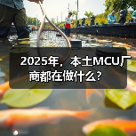 2025年，本土MCU厂商都在做什么？（图1）
