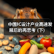 中国IC设计产业高速发展后的再思考 (下)(图1) 中国IC设计产业高速发展后的再思考 (下)(图1)