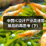 中国IC设计产业高速发展后的再思考 (下)(图2) 中国IC设计产业高速发展后的再思考 (下)(图2)
