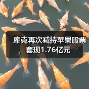 库克再次减持苹果股票,套现1.76亿元(图1) 库克再次减持苹果股票,套现1.76亿元(图1)