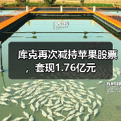 库克再次减持苹果股票,套现1.76亿元(图3) 库克再次减持苹果股票,套现1.76亿元(图3)