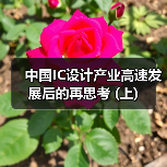 中国IC设计产业高速发展后的再思考 (上)(图4) 中国IC设计产业高速发展后的再思考 (上)(图4)