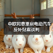 中欧同意重启电动汽车反补贴案谈判（图4）