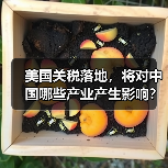 美国关税落地，将对中国哪些产业产生影响？（图2）