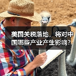 美国关税落地，将对中国哪些产业产生影响？（图3）