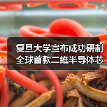 复旦大学宣布成功研制全球首款二维半导体芯片 “无极”(图3) 复旦大学宣布成功研制全球首款二维半导体芯片 “无极”(图3)