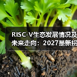 RISC-V生态发展情况及未来走向:2027是新拐点(图4) RISC-V生态发展情况及未来走向:2027是新拐点(图4)