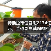 特斯拉市值暴涨2174亿元,全球副总裁陶琳回应安全驾驶问题(图1) 特斯拉市值暴涨2174亿元,全球副总裁陶琳回应安全驾驶问题(图1)