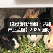 【凝聚创新动能・共绘产业蓝图】2025 国际集成电路展览会暨研讨会(IIC Shanghai)圆满闭幕(图4) 【凝聚创新动能・共绘产业蓝图】2025 国际集成电路展览会暨研讨会(IIC Shanghai)圆满闭幕(图4)