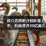 传立讯精密计划赴港上市，拟融资近30亿美元（图2）