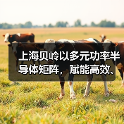 上海贝岭以多元功率半导体矩阵,赋能高效、可靠光储系统创新(图3) 上海贝岭以多元功率半导体矩阵,赋能高效、可靠光储系统创新(图3)