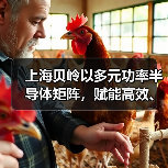 上海贝岭以多元功率半导体矩阵,赋能高效、可靠光储系统创新(图1) 上海贝岭以多元功率半导体矩阵,赋能高效、可靠光储系统创新(图1)