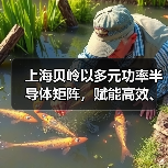 上海贝岭以多元功率半导体矩阵,赋能高效、可靠光储系统创新(图4) 上海贝岭以多元功率半导体矩阵,赋能高效、可靠光储系统创新(图4)