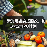 紫光展锐完成股改,加速推进IPO计划(图4) 紫光展锐完成股改,加速推进IPO计划(图4)