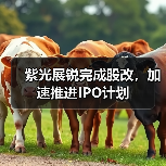 紫光展锐完成股改,加速推进IPO计划(图2) 紫光展锐完成股改,加速推进IPO计划(图2)