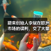 蔚来创始人李斌在欧洲市场的误判,交了大量学费(图1) 蔚来创始人李斌在欧洲市场的误判,交了大量学费(图1)