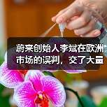 蔚来创始人李斌在欧洲市场的误判,交了大量学费(图3) 蔚来创始人李斌在欧洲市场的误判,交了大量学费(图3)