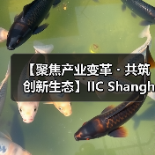 【聚焦产业变革・共筑创新生态】IIC Shanghai 2025盛大启幕 中国IC领袖峰会 | 中国IC设计成就奖颁奖典(图1) 【聚焦产业变革・共筑创新生态】IIC Shanghai 2025盛大启幕 中国IC领袖峰会 | 中国IC设计成就奖颁奖典(图1)