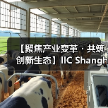 【聚焦产业变革・共筑创新生态】IIC Shanghai 2025盛大启幕 中国IC领袖峰会 | 中国IC设计成就奖颁奖典(图4) 【聚焦产业变革・共筑创新生态】IIC Shanghai 2025盛大启幕 中国IC领袖峰会 | 中国IC设计成就奖颁奖典(图4)