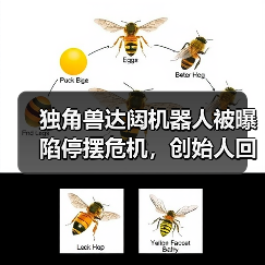 独角兽达闼机器人被曝陷停摆危机,创始人回应:短期资金流动性挑战(图2) 独角兽达闼机器人被曝陷停摆危机,创始人回应:短期资金流动性挑战(图2)