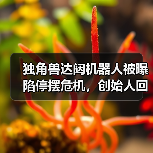 独角兽达闼机器人被曝陷停摆危机,创始人回应:短期资金流动性挑战(图4) 独角兽达闼机器人被曝陷停摆危机,创始人回应:短期资金流动性挑战(图4)
