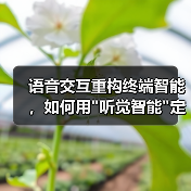 语音交互重构终端智能,如何用 语音交互重构终端智能,如何用