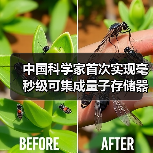 中国科学家首次实现毫秒级可集成量子存储器(图2) 中国科学家首次实现毫秒级可集成量子存储器(图2)