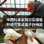 中国科学家首次实现毫秒级可集成量子存储器(图3) 中国科学家首次实现毫秒级可集成量子存储器(图3)