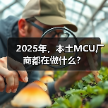 2025年,本土MCU厂商都在做什么?(图3) 2025年,本土MCU厂商都在做什么?(图3)