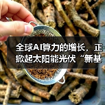 全球AI算力的增长,正掀起太阳能光伏“新基建”热潮(图4) 全球AI算力的增长,正掀起太阳能光伏“新基建”热潮(图4)