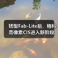 转型Fab-Lite后,格科高像素CIS进入新阶段(图4) 转型Fab-Lite后,格科高像素CIS进入新阶段(图4)