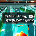 转型Fab-Lite后,格科高像素CIS进入新阶段(图1) 转型Fab-Lite后,格科高像素CIS进入新阶段(图1)