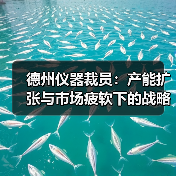 德州仪器裁员:产能扩张与市场疲软下的战略调整(图3) 德州仪器裁员:产能扩张与市场疲软下的战略调整(图3)