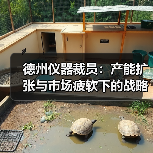 德州仪器裁员:产能扩张与市场疲软下的战略调整(图1) 德州仪器裁员:产能扩张与市场疲软下的战略调整(图1)
