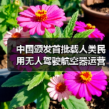 中国颁发首批载人类民用无人驾驶航空器运营合格证,低空经济迈入 “载人时代”(图3) 中国颁发首批载人类民用无人驾驶航空器运营合格证,低空经济迈入 “载人时代”(图3)