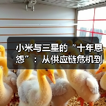小米与三星的“十年恩怨”:从供应链危机到地位逆转(图3) 小米与三星的“十年恩怨”:从供应链危机到地位逆转(图3)