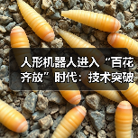 人形机器人进入“百花齐放”时代:技术突破与市场竞速下的机遇与挑战(图4) 人形机器人进入“百花齐放”时代:技术突破与市场竞速下的机遇与挑战(图4)