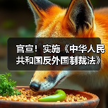 官宣!实施《中华人民共和国反外国制裁法》(图2) 官宣!实施《中华人民共和国反外国制裁法》(图2)