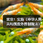 官宣!实施《中华人民共和国反外国制裁法》(图1) 官宣!实施《中华人民共和国反外国制裁法》(图1)