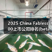 2025 China Fabless 100上市公司排名(beta版)出炉！（图2）