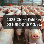 2025 China Fabless 100上市公司排名(beta版)出炉！（图3）